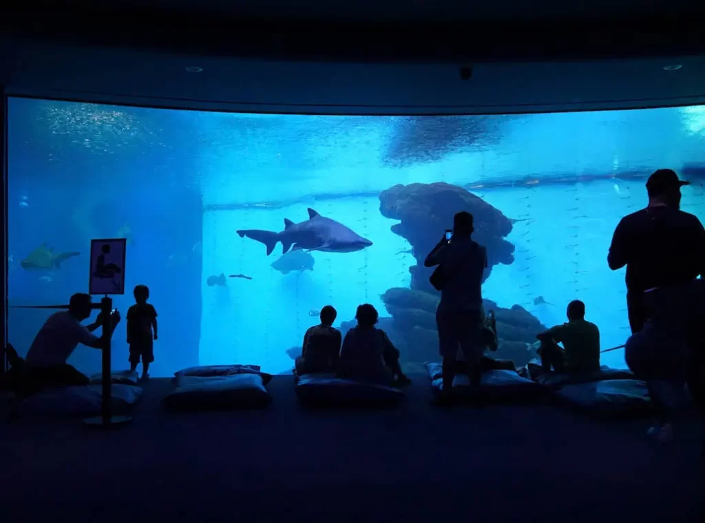 Palma Aquarium - atrakcje na majorce